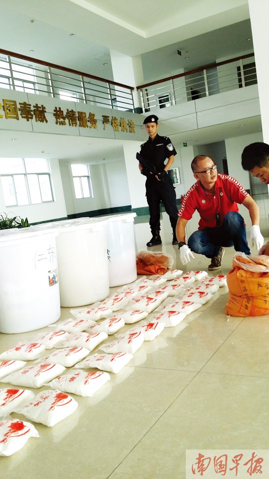 525.8公斤K粉！广西破获史上最大新型毒品案(图)