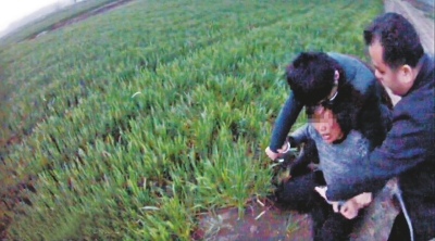 麦地里嫌疑人落网