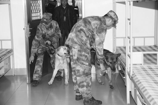 缉毒犬在宿舍内搜查。
