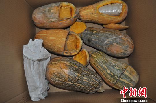 图为缴获的藏于南瓜内的毒品冰毒 诸建明 摄