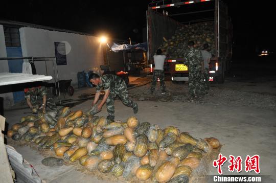 图为边防官兵正在对查获的藏毒南瓜进行卸货 诸建明 摄