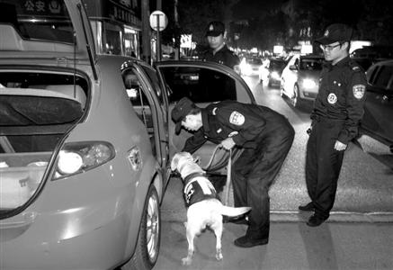 毒驾入刑箭在弦上