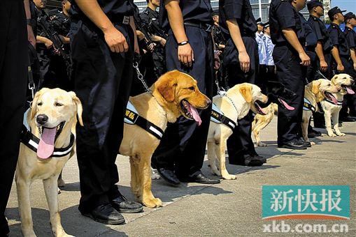 禁毒!广东“销烟”2000公斤