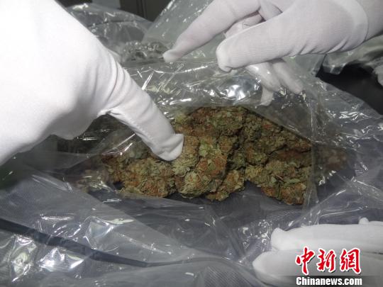 广州海关截获4.63公斤毒品大麻花