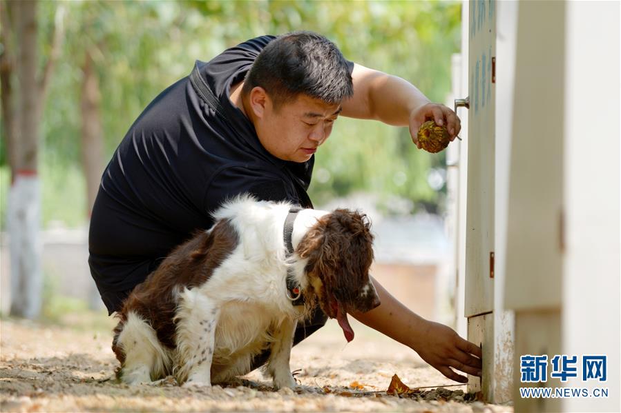 （图片故事）（8）缉毒犬“播求”和它的训导员