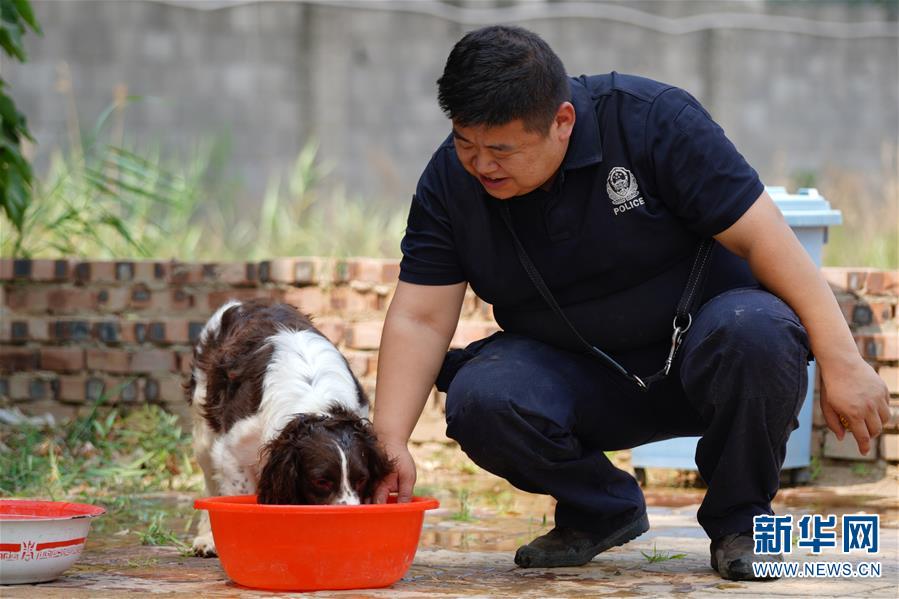 （图片故事）（11）缉毒犬“播求”和它的训导员