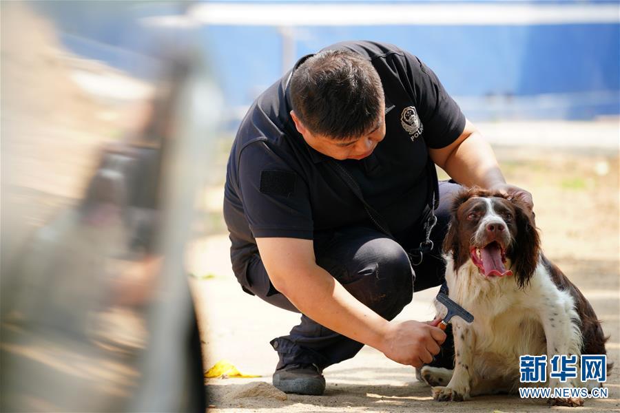 （图片故事）（10）缉毒犬“播求”和它的训导员