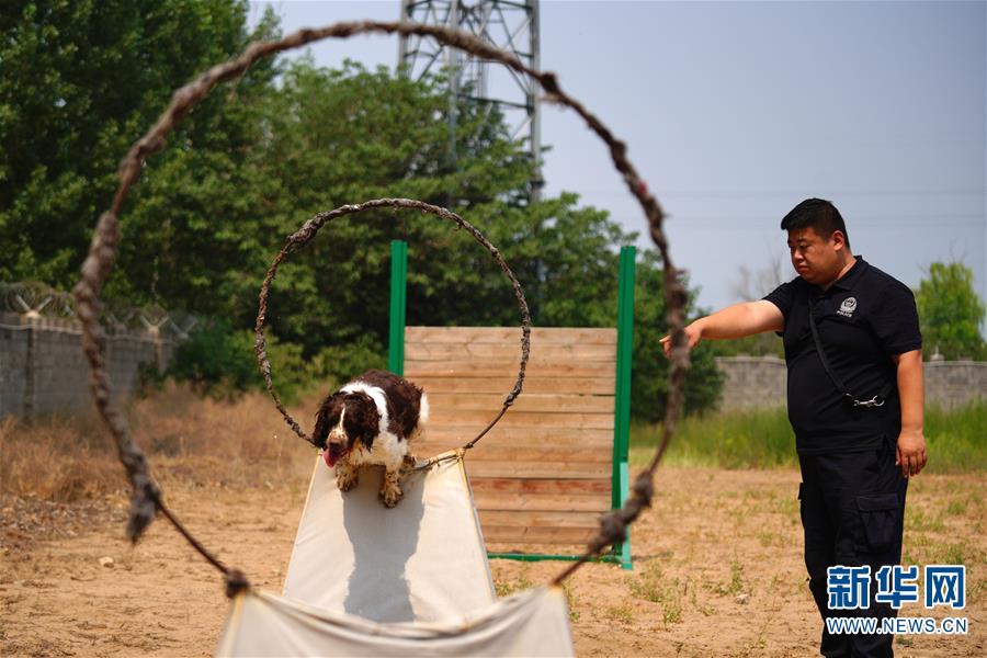 （图片故事）（3）缉毒犬“播求”和它的训导员