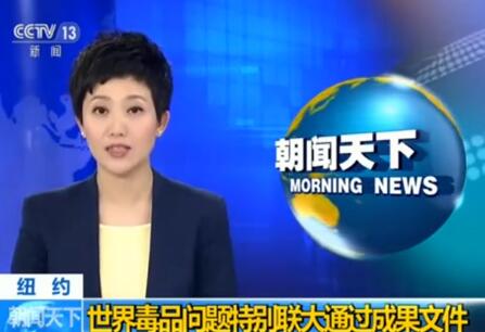 世界毒品问题特别联大通过成果文件