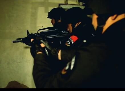 北方英雄之执法者