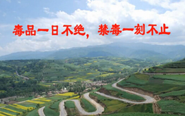 甘肃省康乐县禁毒公益广告