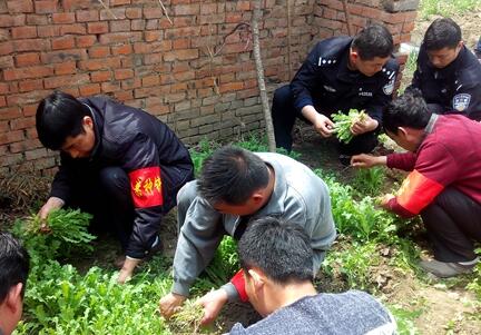安徽六安：春季铲毒督查工作成效明显