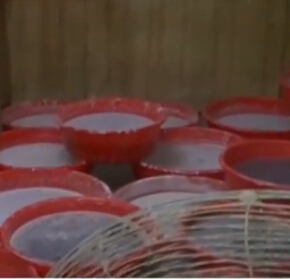 肇庆打掉贩毒团伙