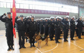 广州市花都区2016—2017年禁毒工作成效