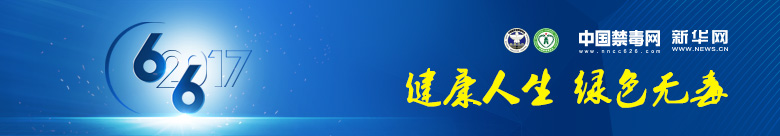 2017国际禁毒日特别专题