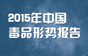 2015年中国毒品形势报告