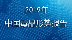 2019年中国毒品形势报告