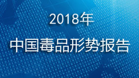 2018年中国毒品形势报告