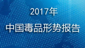 2017年中国毒品形势报告