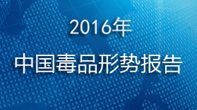 2016年中国毒品形势报告
