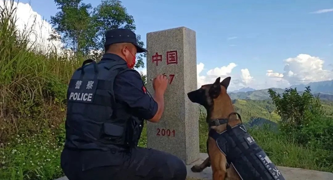 独立发现毒品超15公斤、查到毒品超过自己体重……谢谢你，无言的战友