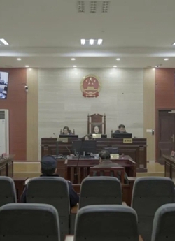 贵州一男子非法种植毒品原植物种1245株！