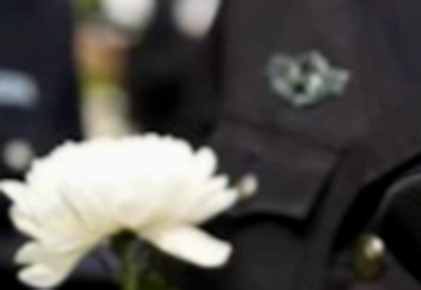 缅怀禁毒英烈，致敬缉毒警察！