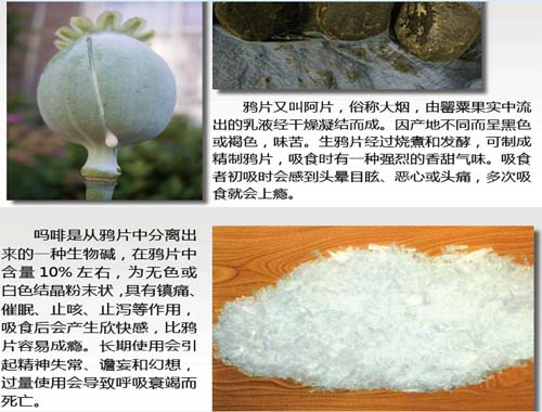 禁毒知识：我国常见的传统毒品