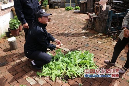 图里河森林公安局：全力开展禁毒铲种工作