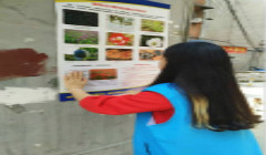 识别罂粟，远离毒品——贵州省开展禁毒宣传挂图张贴活动